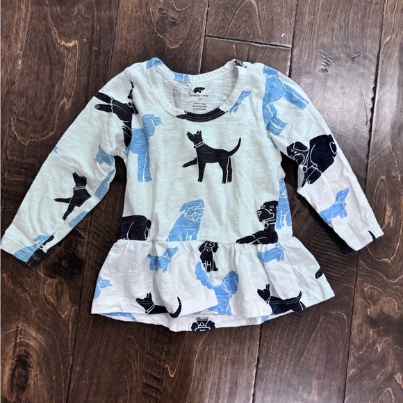Monica and Andy Other - Monica and Andy Toddler Long Sleeve Peplum Top